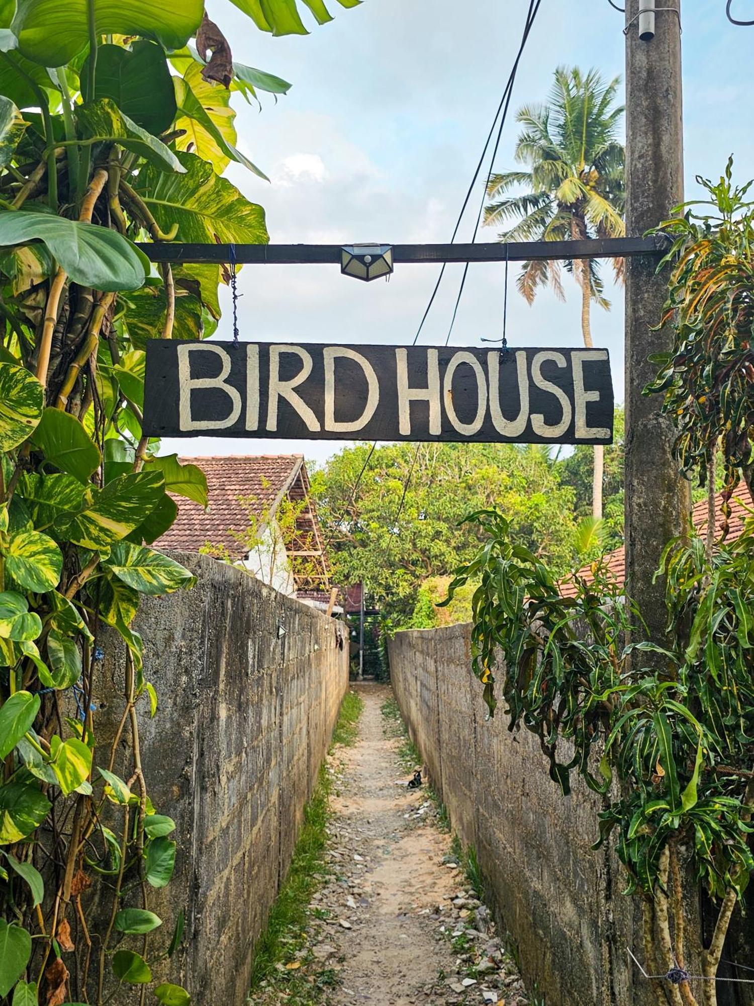 מלון Bird House מיריסה מראה חיצוני תמונה