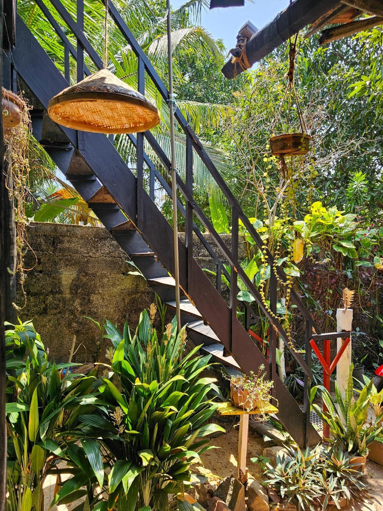 מלון Bird House מיריסה מראה חיצוני תמונה